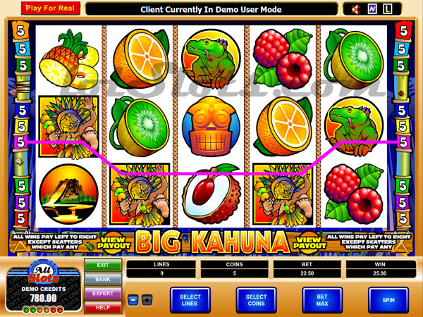 big kahuna slots game