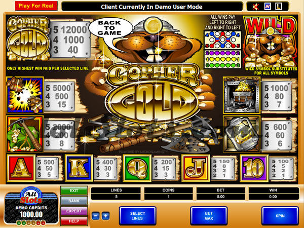 gopher gold paytable